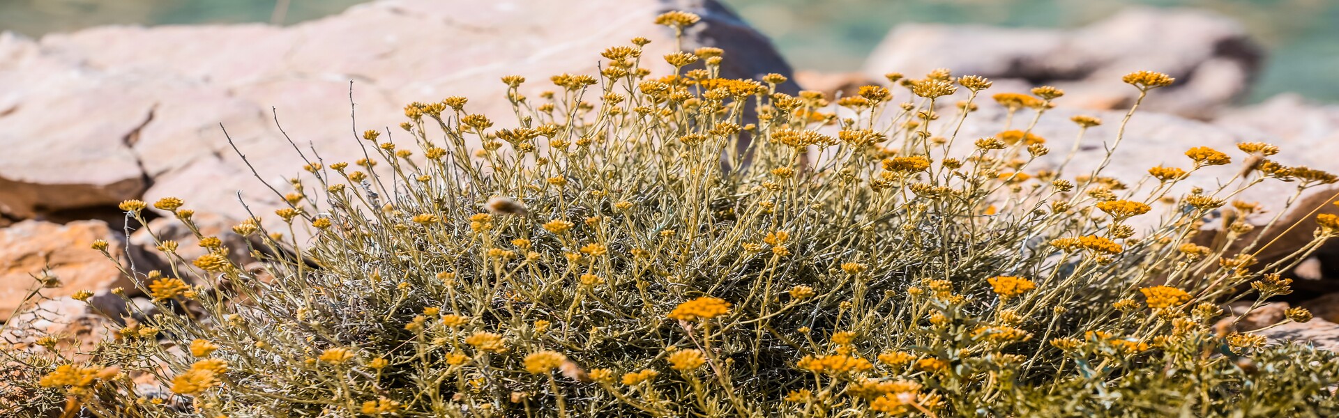 Novalja - visitnovalja.hr