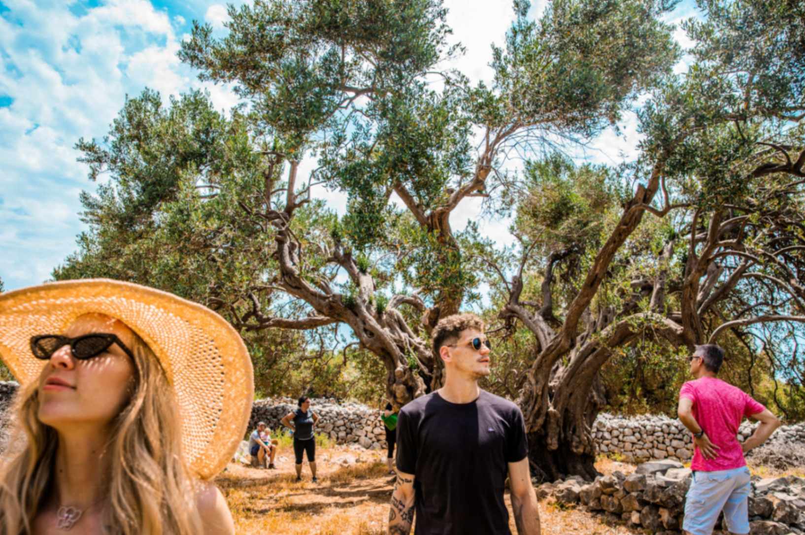 Jpeg optimizer 7S9A2726