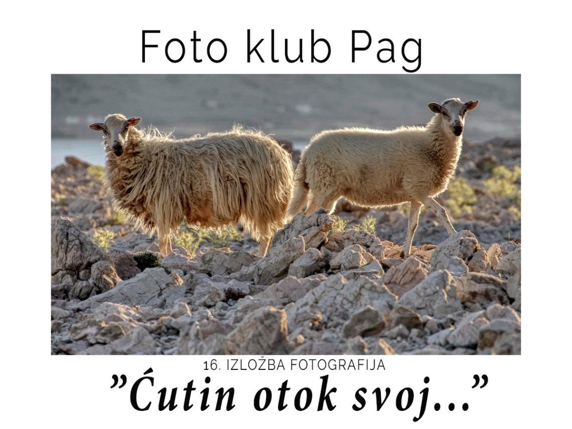 Jpeg optimizer 506132451 1145928577531922 3549806191531937057 n